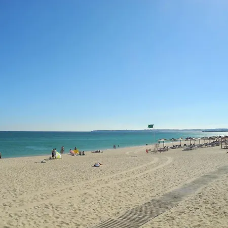Acqua אלבור